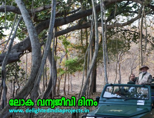 The Prime Minister took a safari at the Gir Wildlife Sanctuary in Gujarat  ഗുജറാത്തിലെ ഗിർ വന്യജീവി സങ്കേതത്തിൽ സഫാരി നടത്തി പ്രധാനമന്ത്രി   2025 March 3  