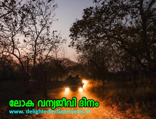 The Prime Minister took a safari at the Gir Wildlife Sanctuary in Gujarat  ഗുജറാത്തിലെ ഗിർ വന്യജീവി സങ്കേതത്തിൽ സഫാരി നടത്തി പ്രധാനമന്ത്രി   2025 March 3  