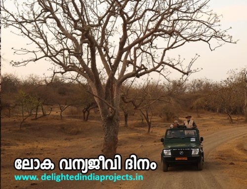 The Prime Minister took a safari at the Gir Wildlife Sanctuary in Gujarat  ഗുജറാത്തിലെ ഗിർ വന്യജീവി സങ്കേതത്തിൽ സഫാരി നടത്തി പ്രധാനമന്ത്രി   2025 March 3  
