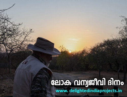 The Prime Minister took a safari at the Gir Wildlife Sanctuary in Gujarat  ഗുജറാത്തിലെ ഗിർ വന്യജീവി സങ്കേതത്തിൽ സഫാരി നടത്തി പ്രധാനമന്ത്രി   2025 March 3  