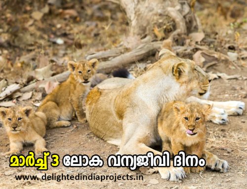 The Prime Minister took a safari at the Gir Wildlife Sanctuary in Gujarat  ഗുജറാത്തിലെ ഗിർ വന്യജീവി സങ്കേതത്തിൽ സഫാരി നടത്തി പ്രധാനമന്ത്രി   2025 March 3  