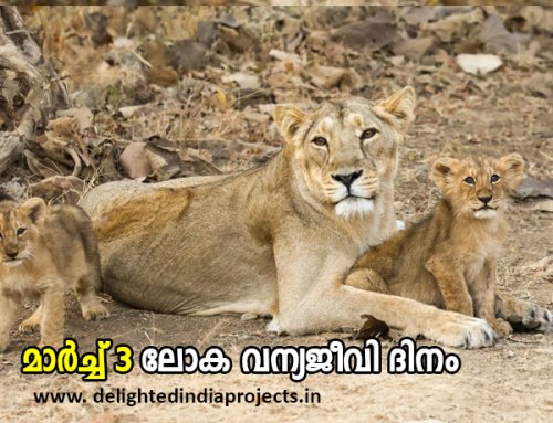 The Prime Minister took a safari at the Gir Wildlife Sanctuary in Gujarat  ഗുജറാത്തിലെ ഗിർ വന്യജീവി സങ്കേതത്തിൽ സഫാരി നടത്തി പ്രധാനമന്ത്രി   2025 March 3  