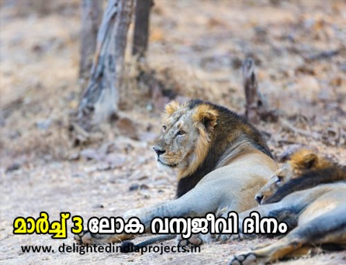 The Prime Minister took a safari at the Gir Wildlife Sanctuary in Gujarat  ഗുജറാത്തിലെ ഗിർ വന്യജീവി സങ്കേതത്തിൽ സഫാരി നടത്തി പ്രധാനമന്ത്രി    (2025 March 3 )